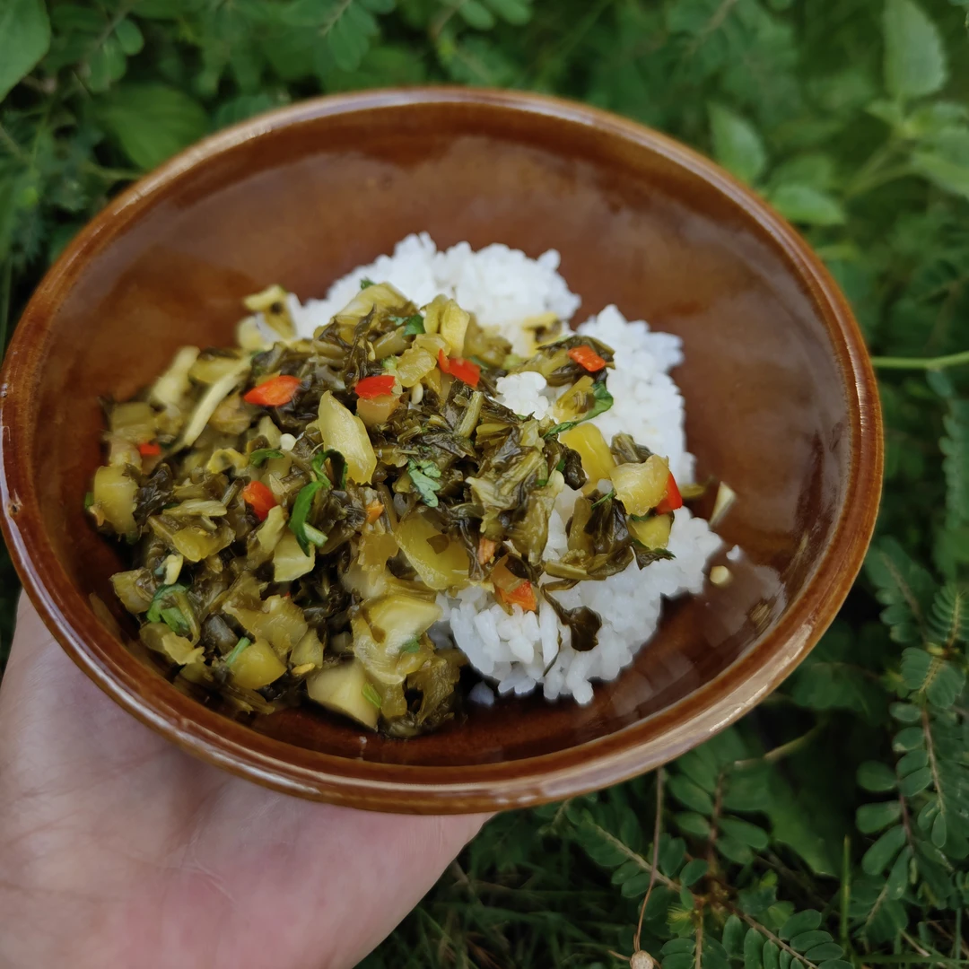 发水腌菜云南普洱特产1000克顺丰包邮