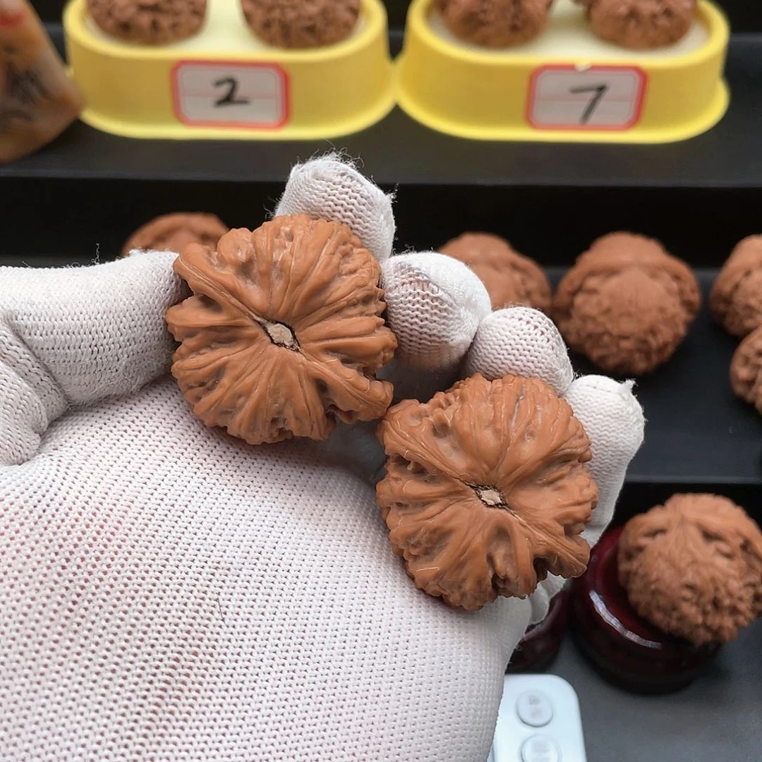 文玩核桃把件临**雨白狮子全品40