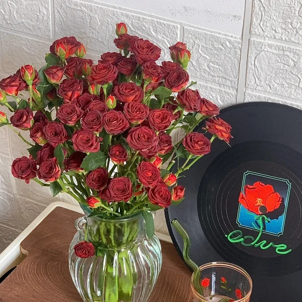 【巧克力泡泡】多头玫瑰一件包邮云南鲜花直发神秘高级感需醒花养