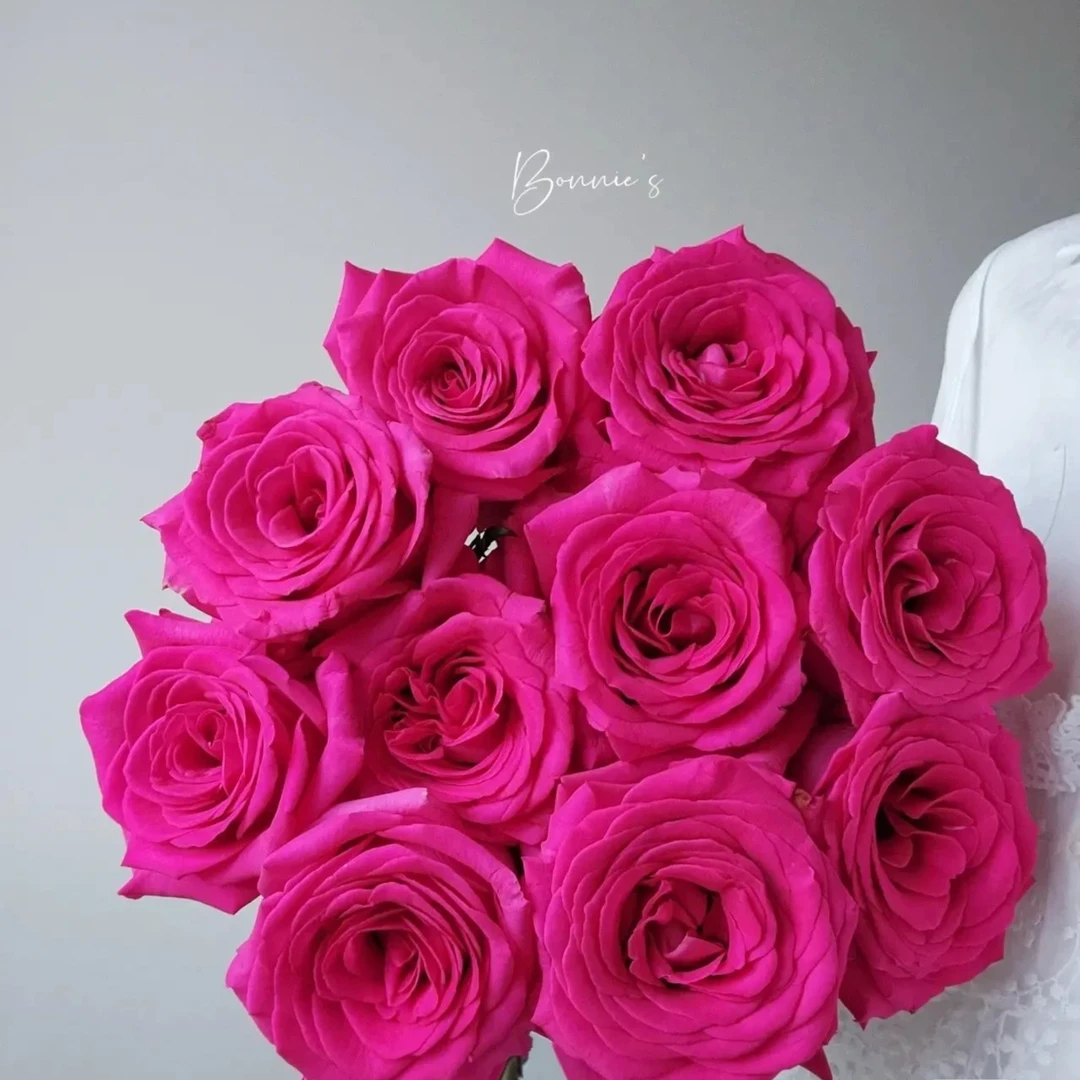 【精品弗洛伊德玫瑰】香味奥斯丁花型云南昆明发货轻奢高级女朋友