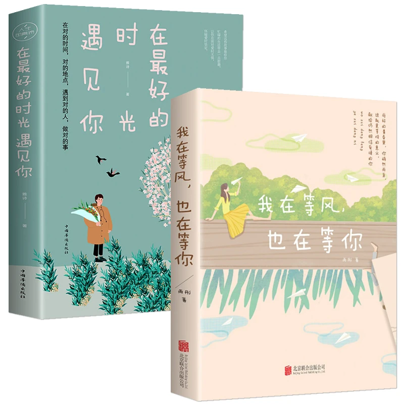 在Z好的时光遇见你情感故事生活当代编辑书适合都市授权爱情都市