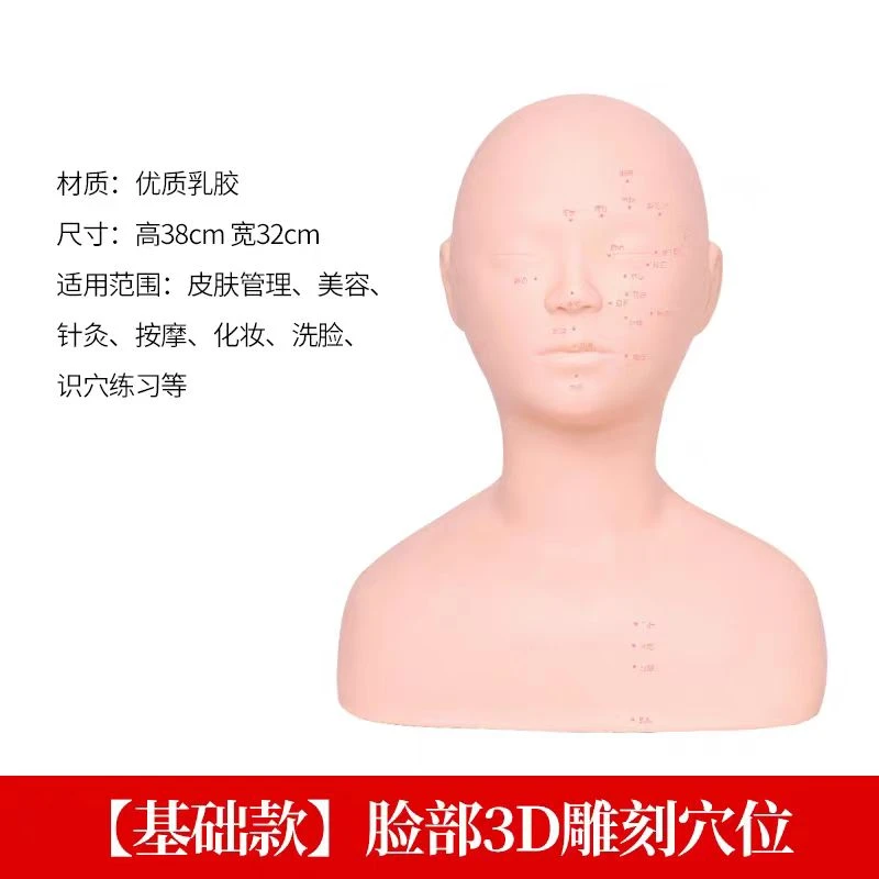 美容练习手法假人头模型按摩脸部雕刻穴位带肩膀公仔头有视频手法