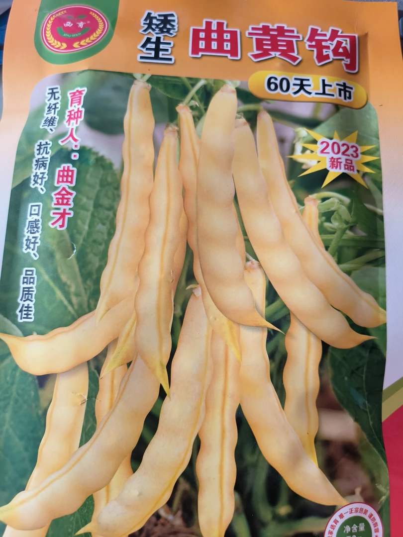 不搭架黄金沟豆角种子