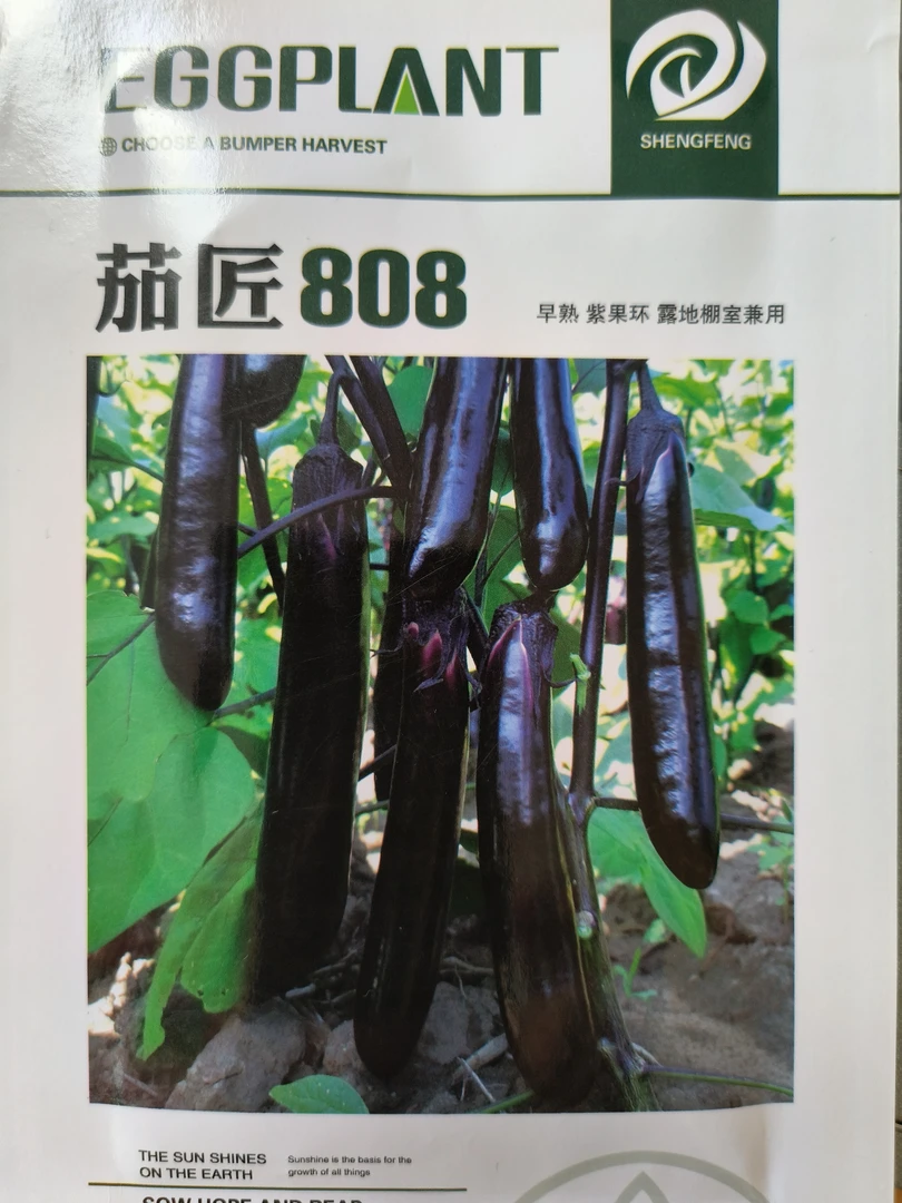 茄匠808茄子种子菜农用种好特黑亮茄子杂交种子