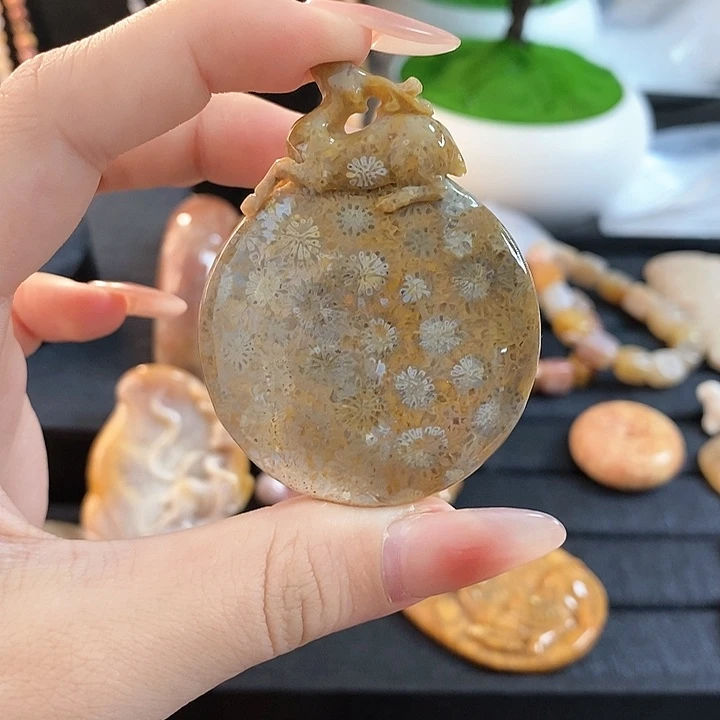 硅化玉颈饰未镶嵌