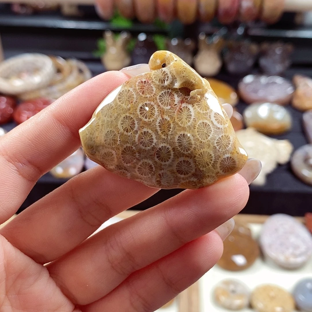 硅化玉颈饰未镶嵌