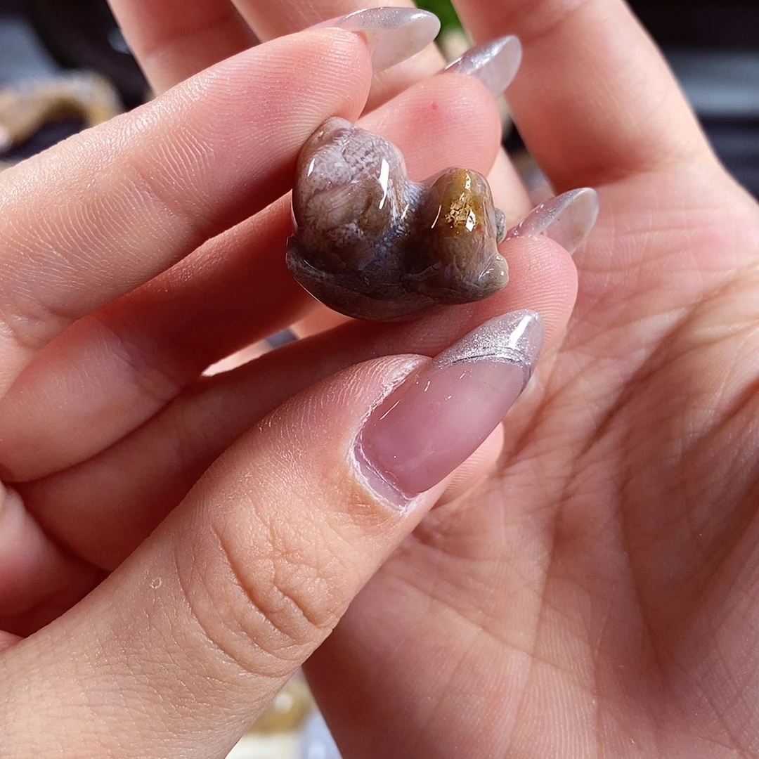 硅化玉颈饰未镶嵌