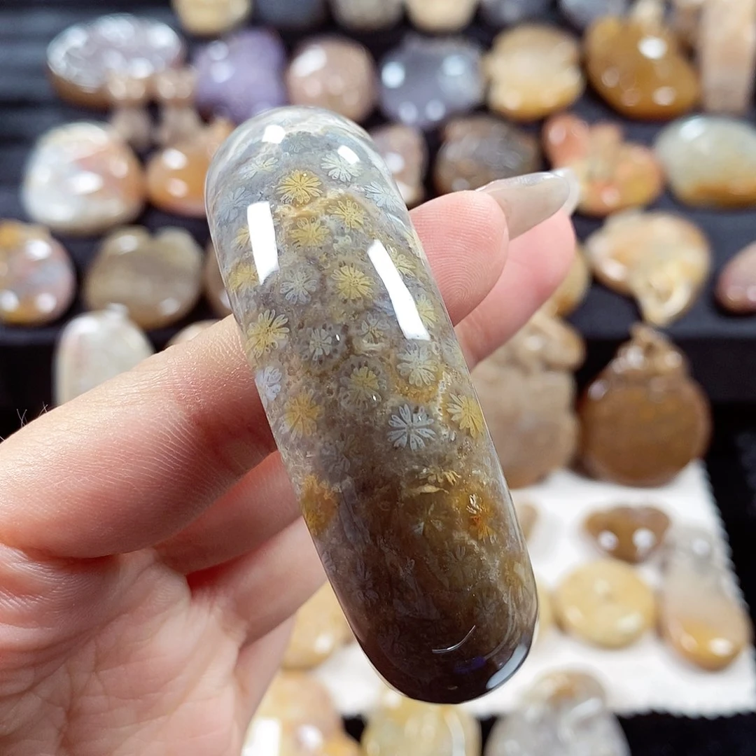 硅化玉颈饰未镶嵌