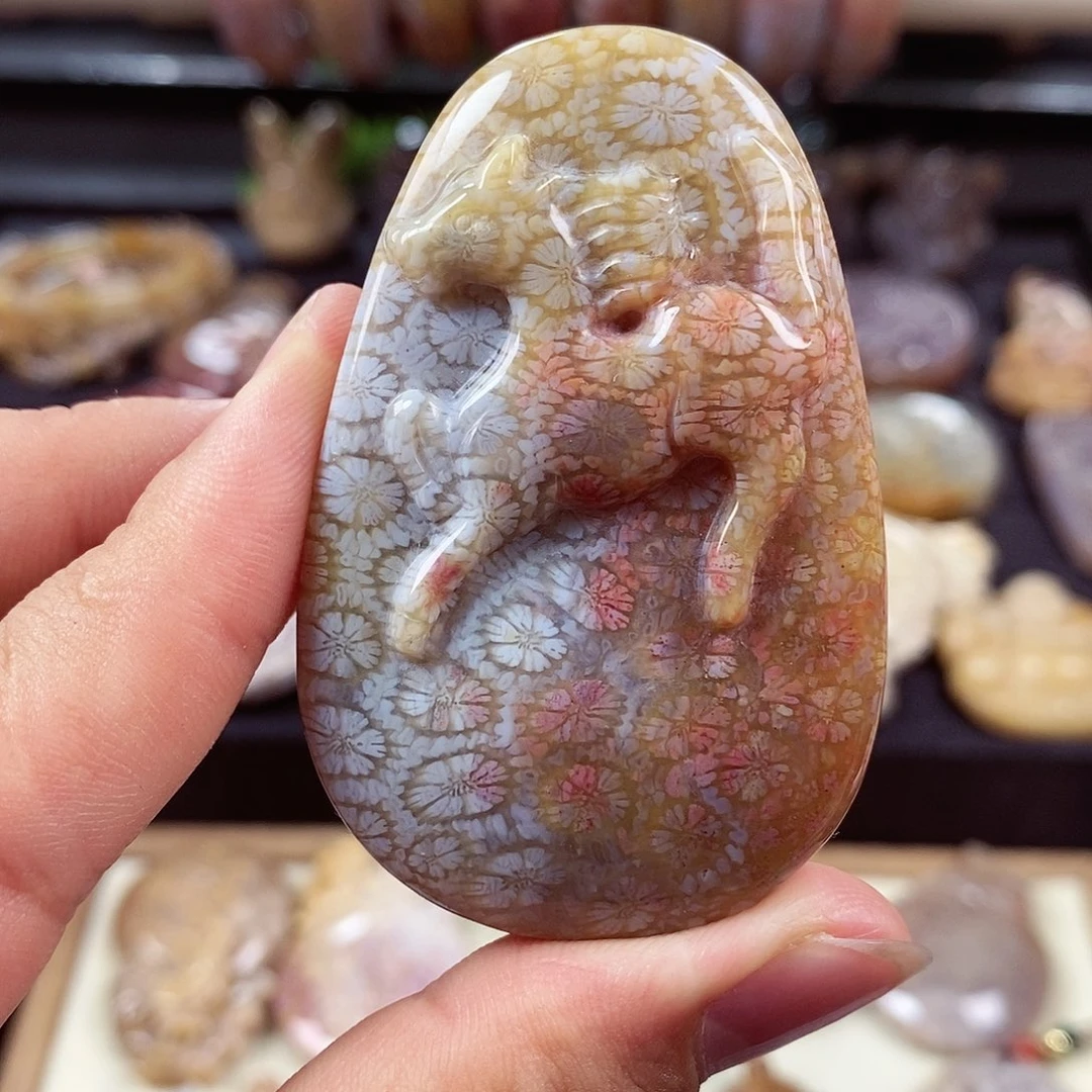 硅化玉颈饰未镶嵌