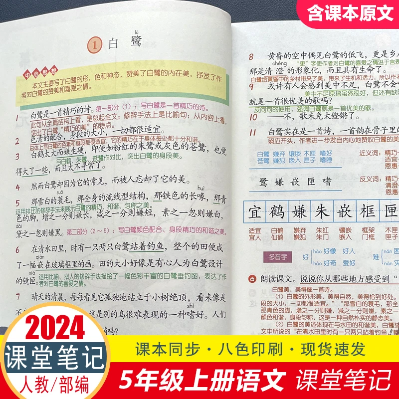 5五年级上册下册【语文课堂笔记】人教版带课本原文预习复习知识点
