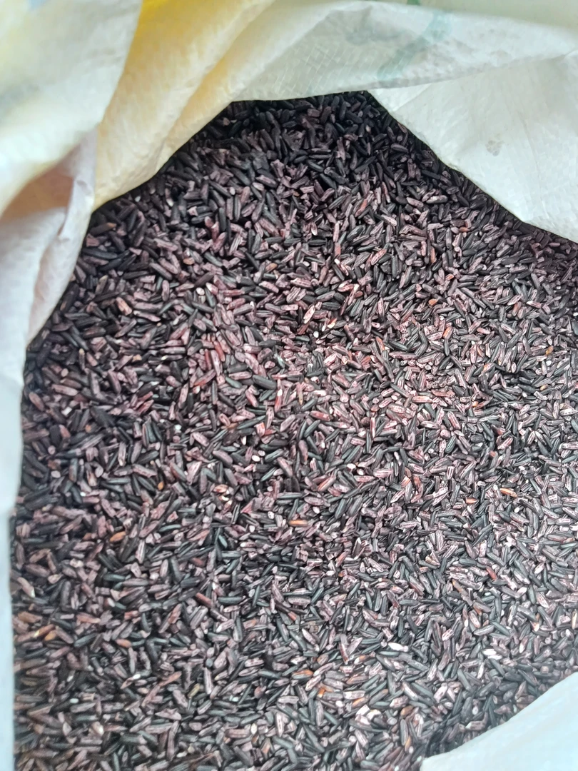 云南土特产，，紫糯米