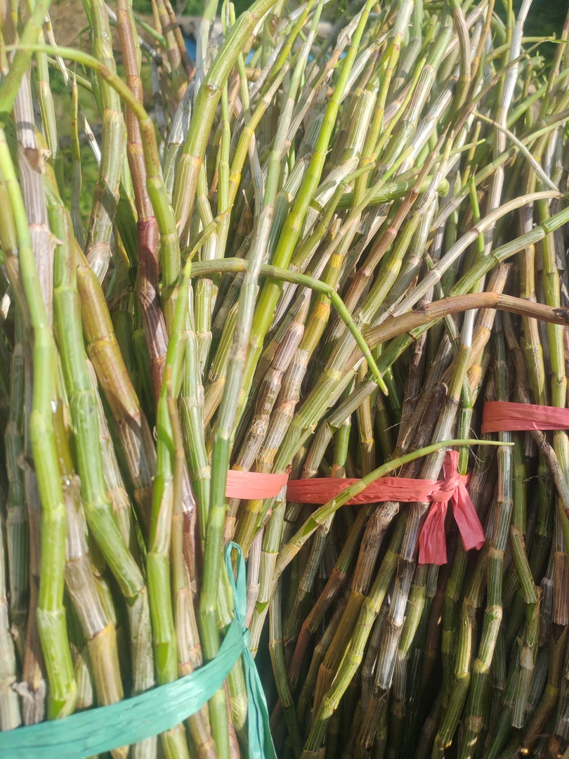 云南土特产…石鲜条