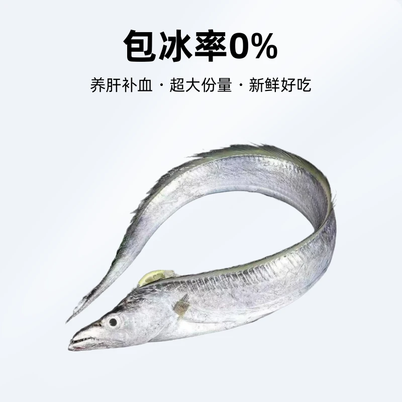 超大5斤品质新鲜好吃的深海雷达捕捞网油带鱼