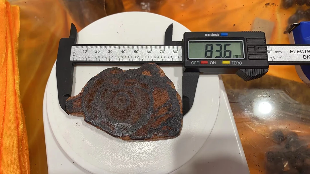 8.5公分左右缅甸小叶降真香豪猪黄油挂件