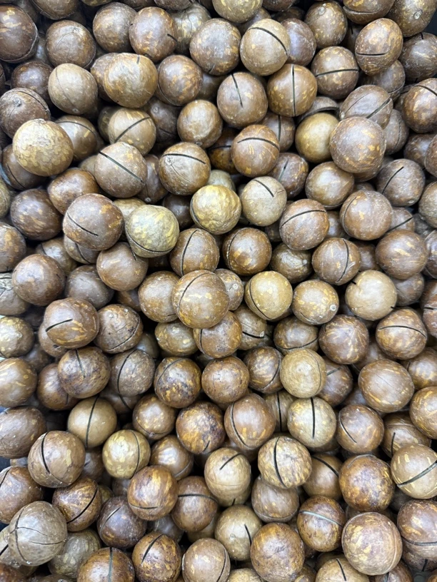 夏威夷果一盒一斤装