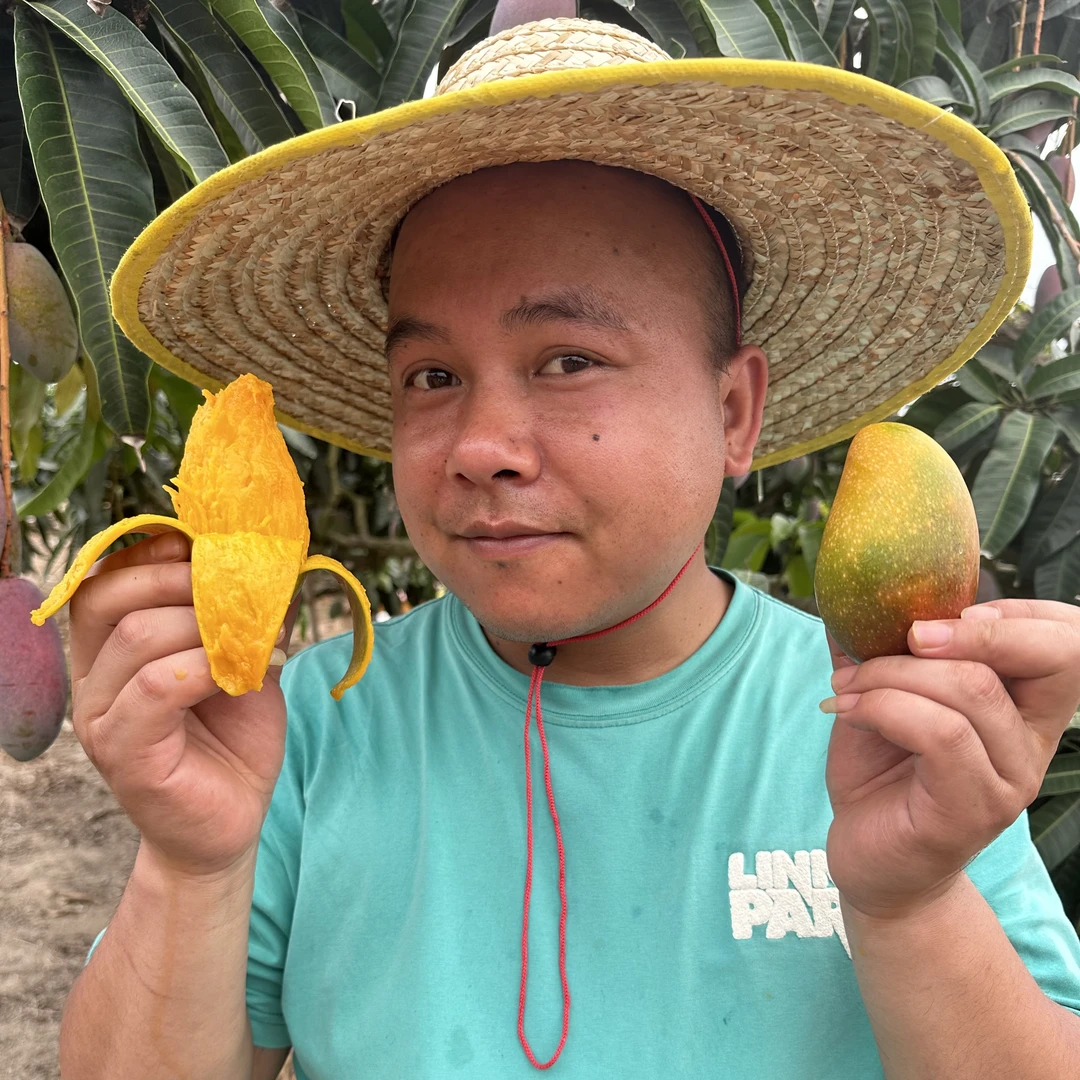 【顺丰包邮】海南树上自然变黄贵妃芒香味浓郁肉质饱满新鲜