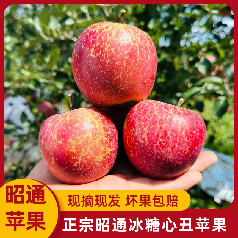 【坏果包赔】云南昭通丑苹果冰糖心脆甜红富士清脆多汁
