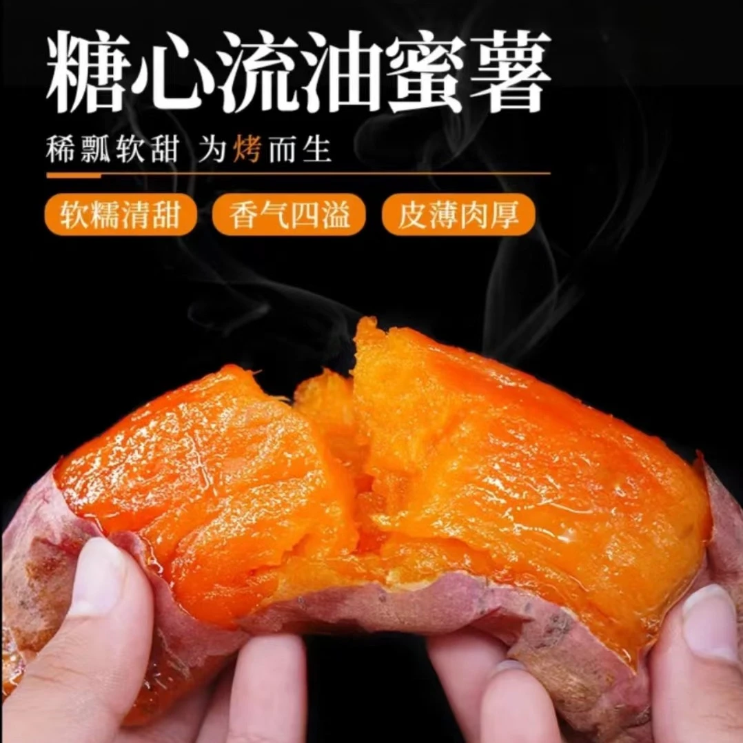 正宗唐山烟薯25号 已糖化15天! 净重3斤,5斤 包邮烤制好吃