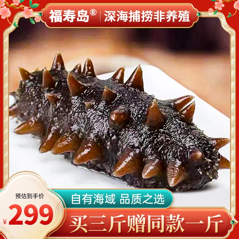 【福寿岛海参】10-16头一斤大连深海鲜食即食海参口感Q弹肉质肥厚