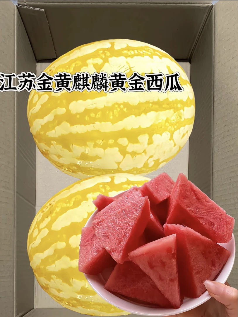 黄金麒麟西瓜1箱（2粒装）5-5.5斤