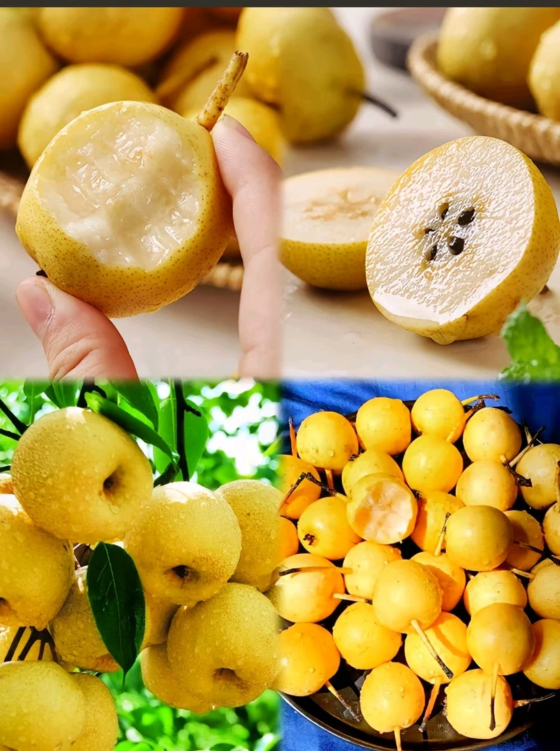 香水梨约3斤（红面小果）