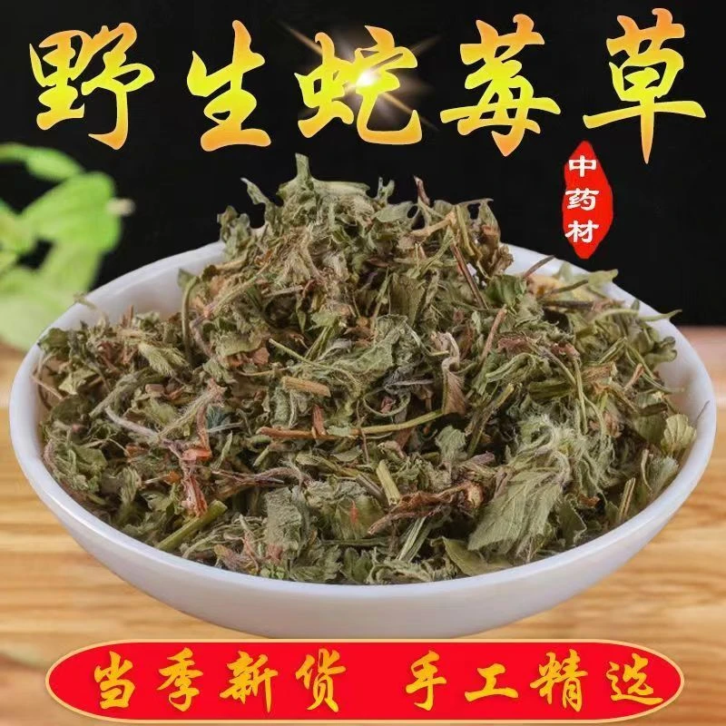 蛇莓中草药蛇莓草中药材正品无硫新货蛇泡草蛇果草草莓地莓草精选
