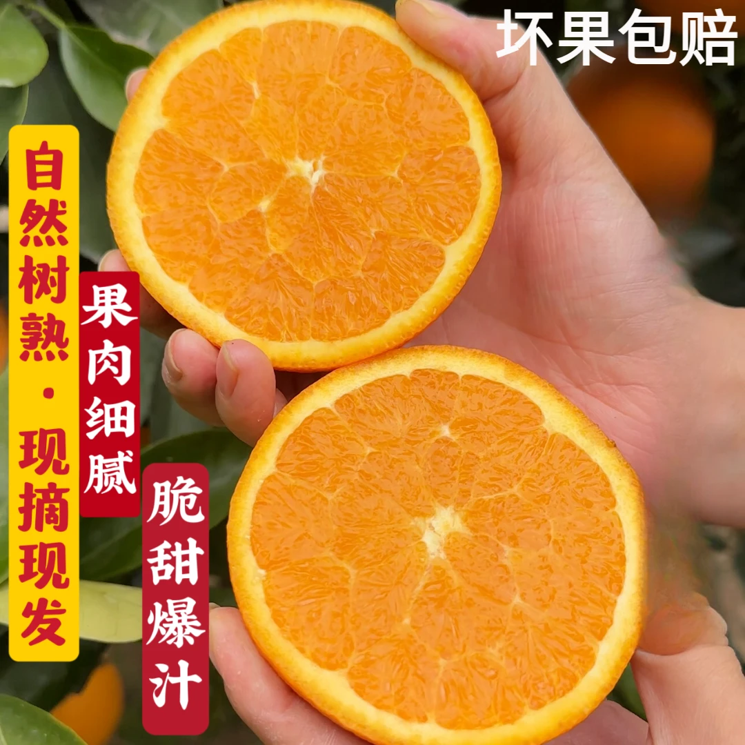 正宗湖北秭归伦晚脐橙产地直发现摘5斤10斤装当季新鲜水果橙子