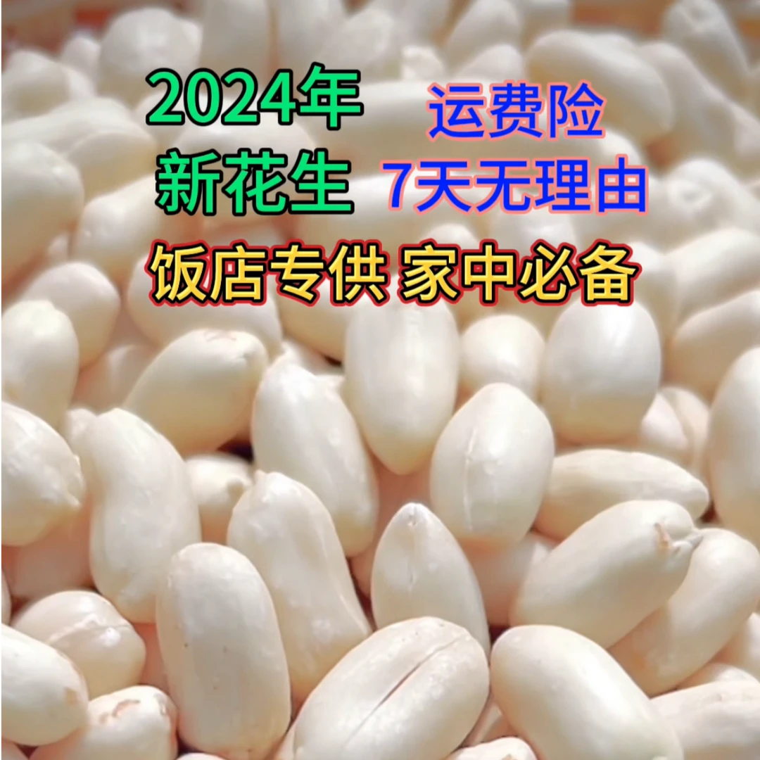 特大粒脱皮花生 2024年新鲜去皮花生乳白花生生花生长粒花生