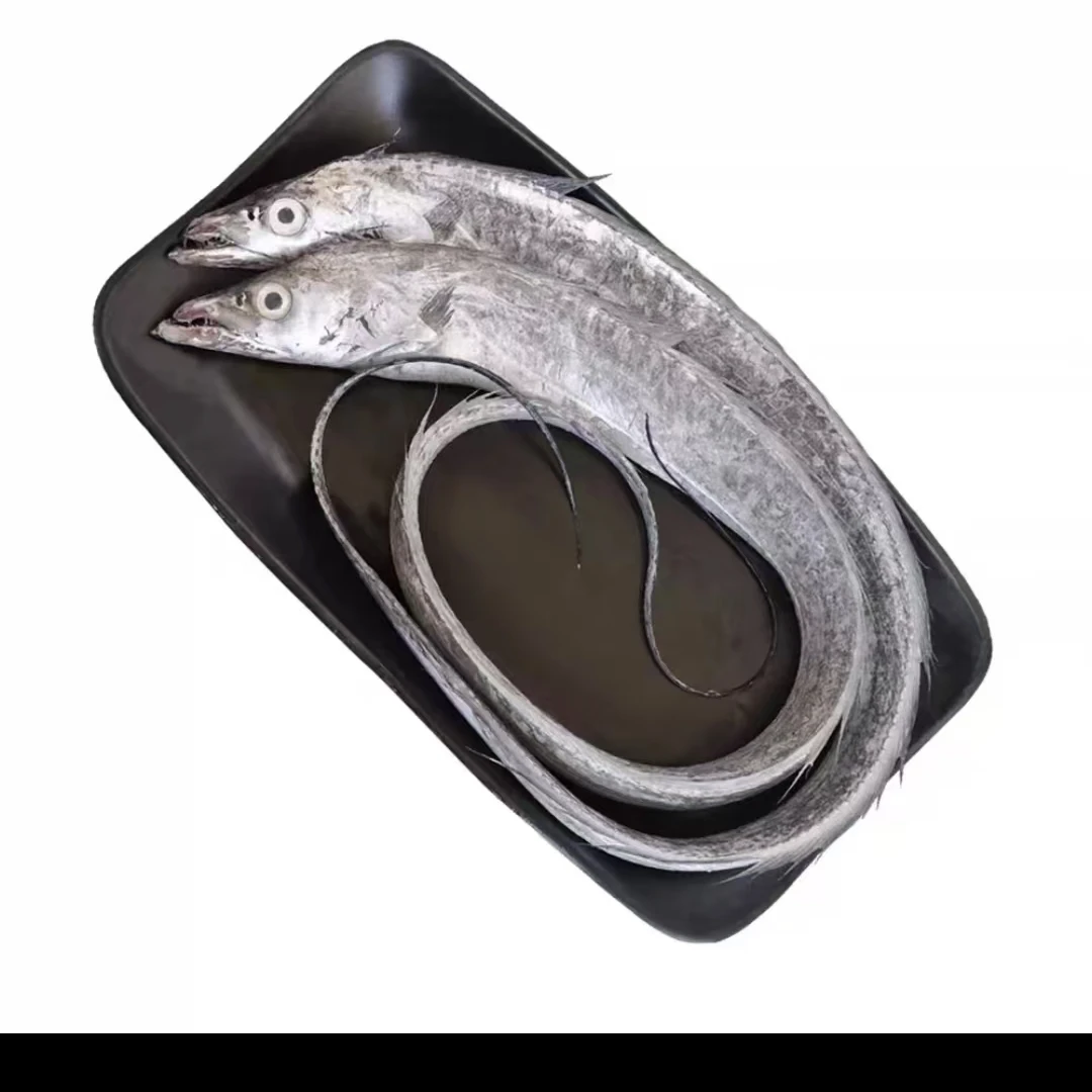 【付总新】新鲜速冻野生整条精品海捕钓带带鱼  5斤约10-12条