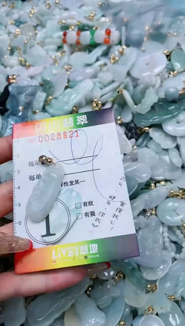 【闪购商品】翡翠颈饰未镶嵌闪购0028821