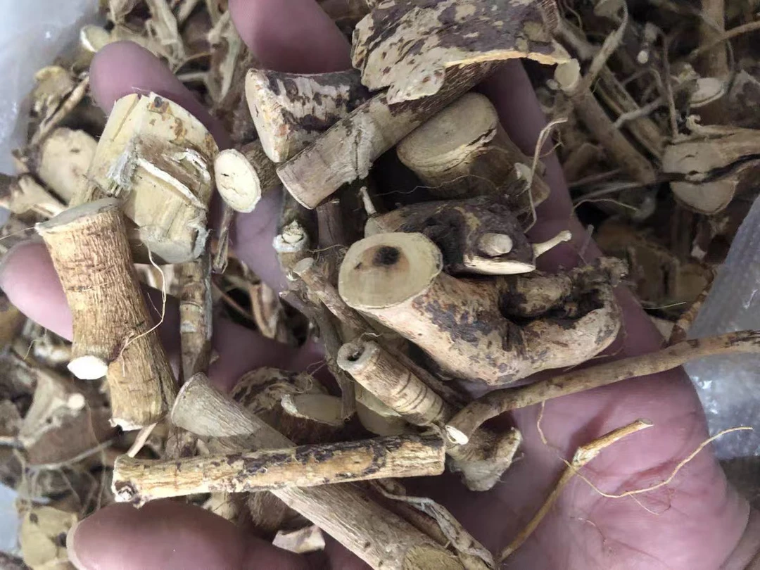 云南农家下山五/只/毛/桃菇