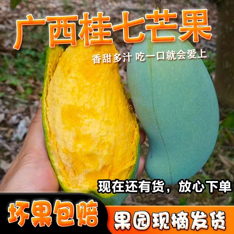 正宗广西百色桂七芒果新鲜水果5斤9斤包邮田东桂7香芒