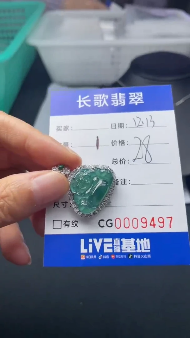 【闪购商品】翡翠颈饰银S925镶嵌9497