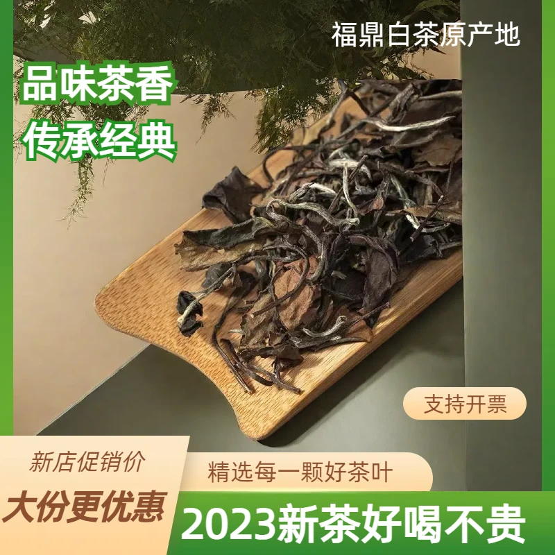 【新店大促销】福鼎白茶2023年高山原产地新茶寿眉枣香花茶香品鉴装