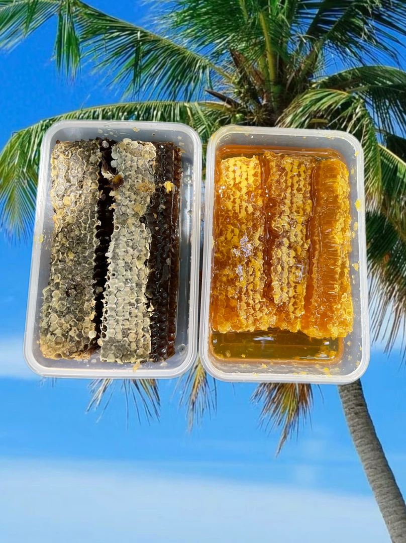 【海南蜂巢蜜组合】海南农家野外放养蜜蜂采纯天然生态蜂巢蜜1000g