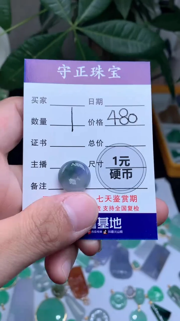 【闪购商品】翡翠颈饰未镶嵌福利款