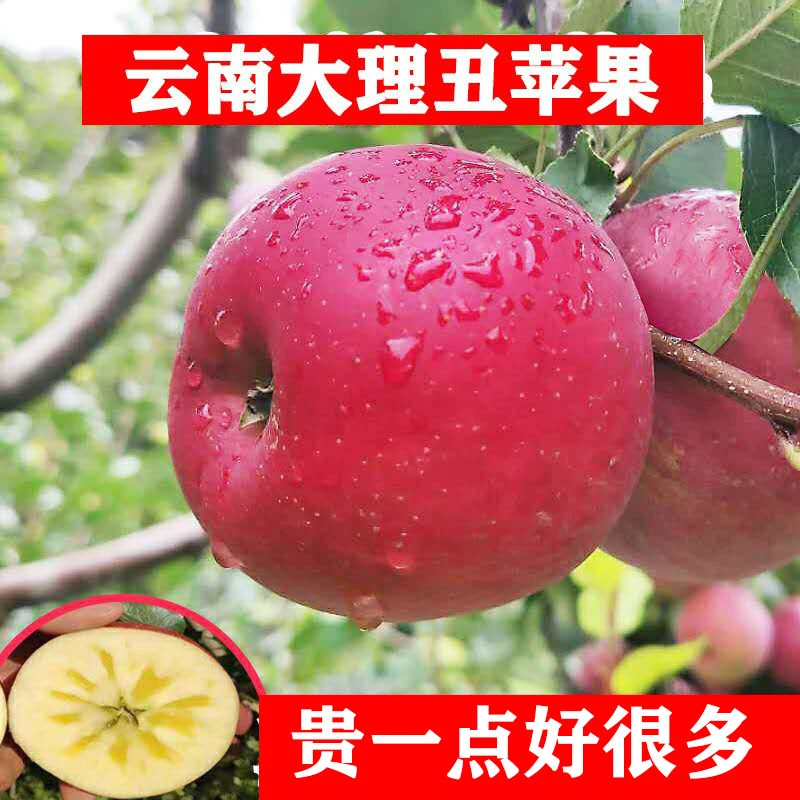 云南丑苹果非新疆红富士苹果当季新鲜水果5/9斤包邮苹果