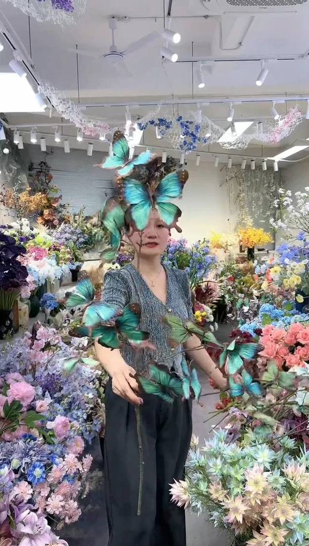 【闪购商品】一支大蝴蝶