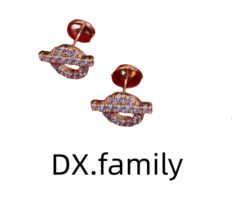 非金属耳饰 H重工高定耳钉-1458