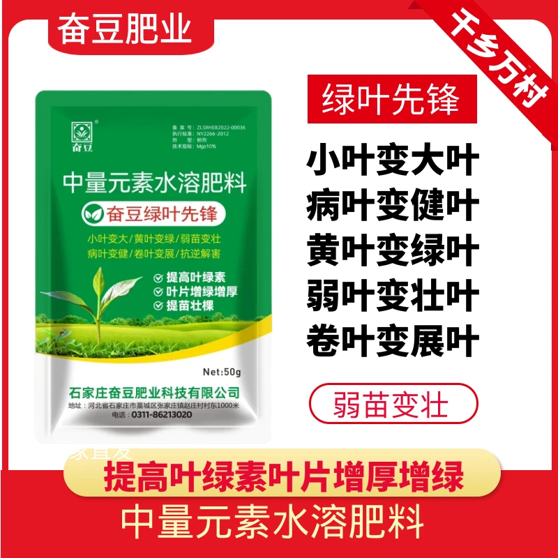 奋豆绿叶先锋黄叶一喷绿