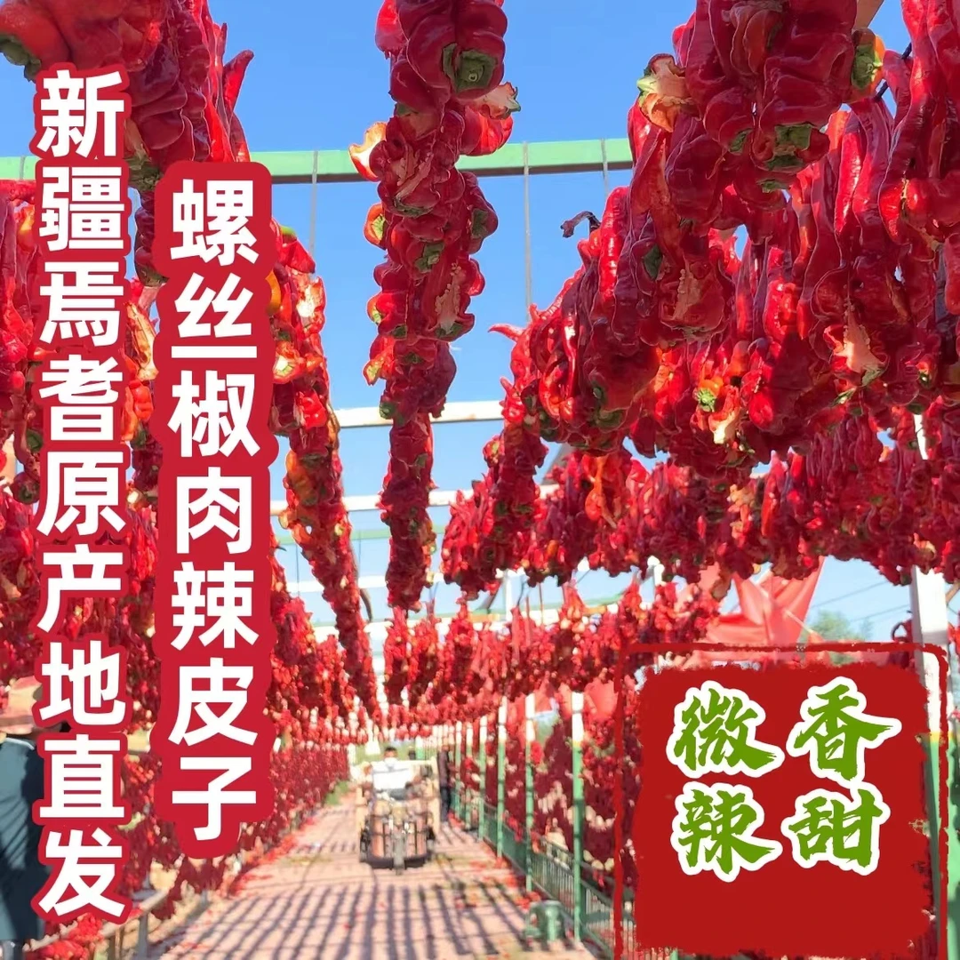 【达人专属新货】新疆焉耆螺丝椒肉辣皮子400克起全国包邮原产地