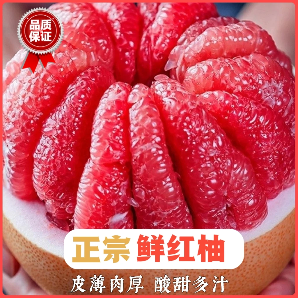 次日达【老树鲜红柚】8甜2酸多汁新鲜产地发好吃维c本地水果