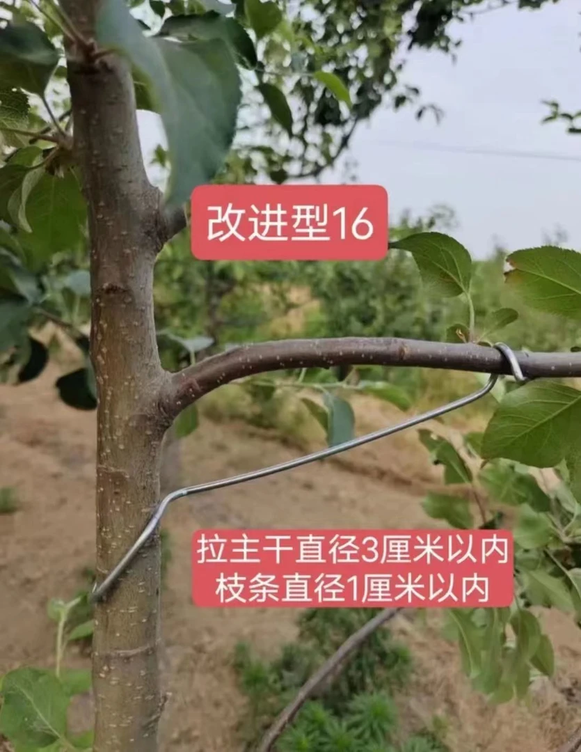 16厘米型果树拉枝器别枝器固定器热镀锌纲丝材质厂家直销园林农业