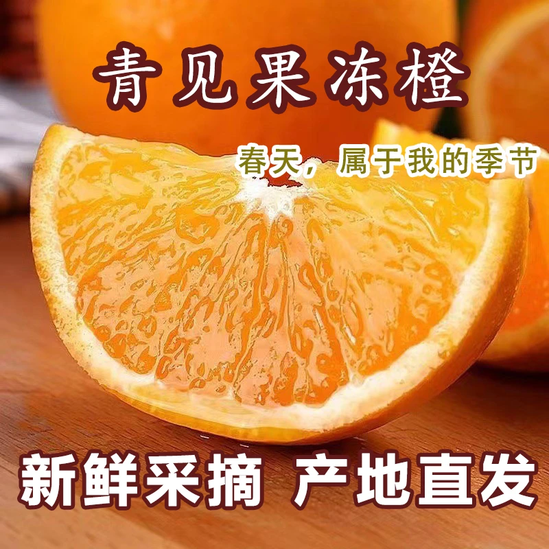 【果冻橙】四川青见柑橘产地直发精品孕妇儿童老人应季水果坏果包赔