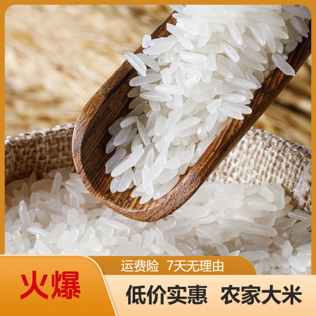 【2024年9月新米】农家精品长粒香米猫牙米一年一季稻营养好货10斤