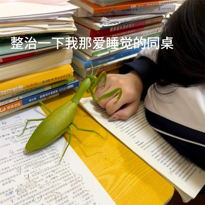 大螳螂电动玩具红外线遥控仿真爬行小动物搞怪整蛊成人玩具2024新