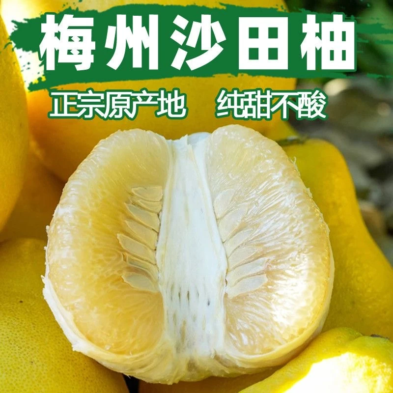 花皮果【纯甜无酸】正宗梅州沙田柚梅县新鲜当季水果现摘现发