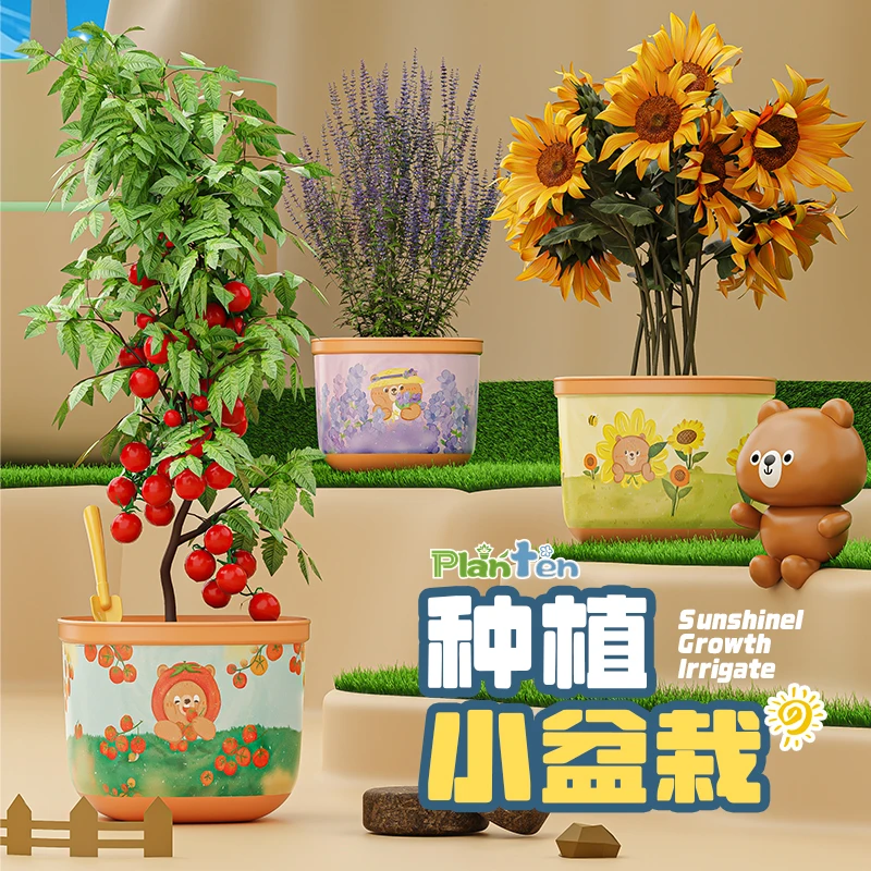 春天幼儿园小学种植小盆栽宝宝种植亲子蔬菜阳光花房玩具益智套装