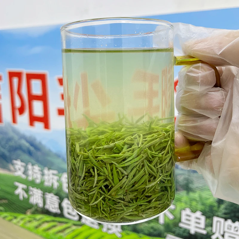 【2024新茶】正宗河南信阳毛尖茶叶雨前嫩芽大山茶高山云雾绿茶香型