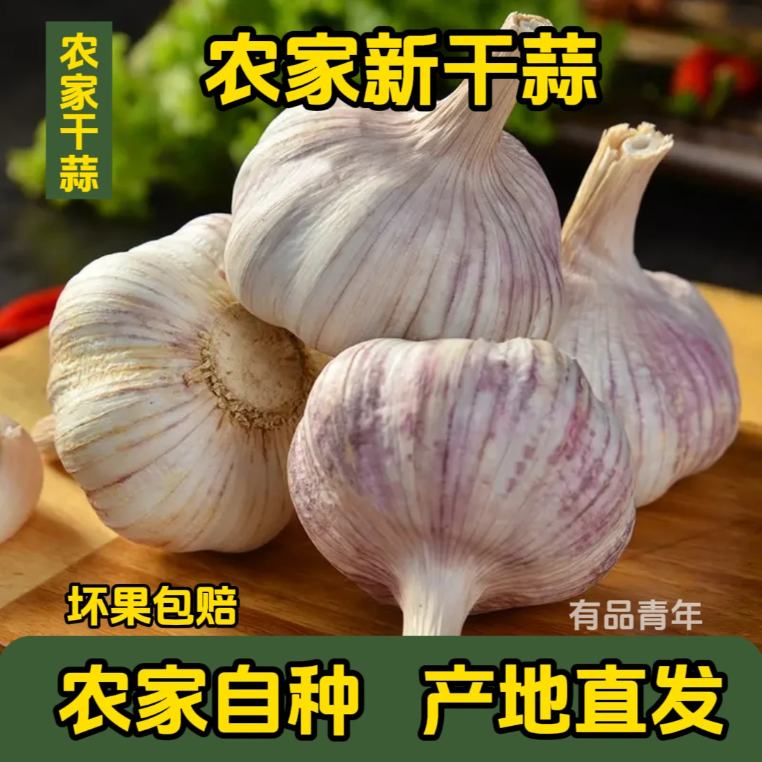 【2024新干蒜】农家自种 自然晾晒 紫皮大蒜 鲜嫩 清脆 1斤好吃